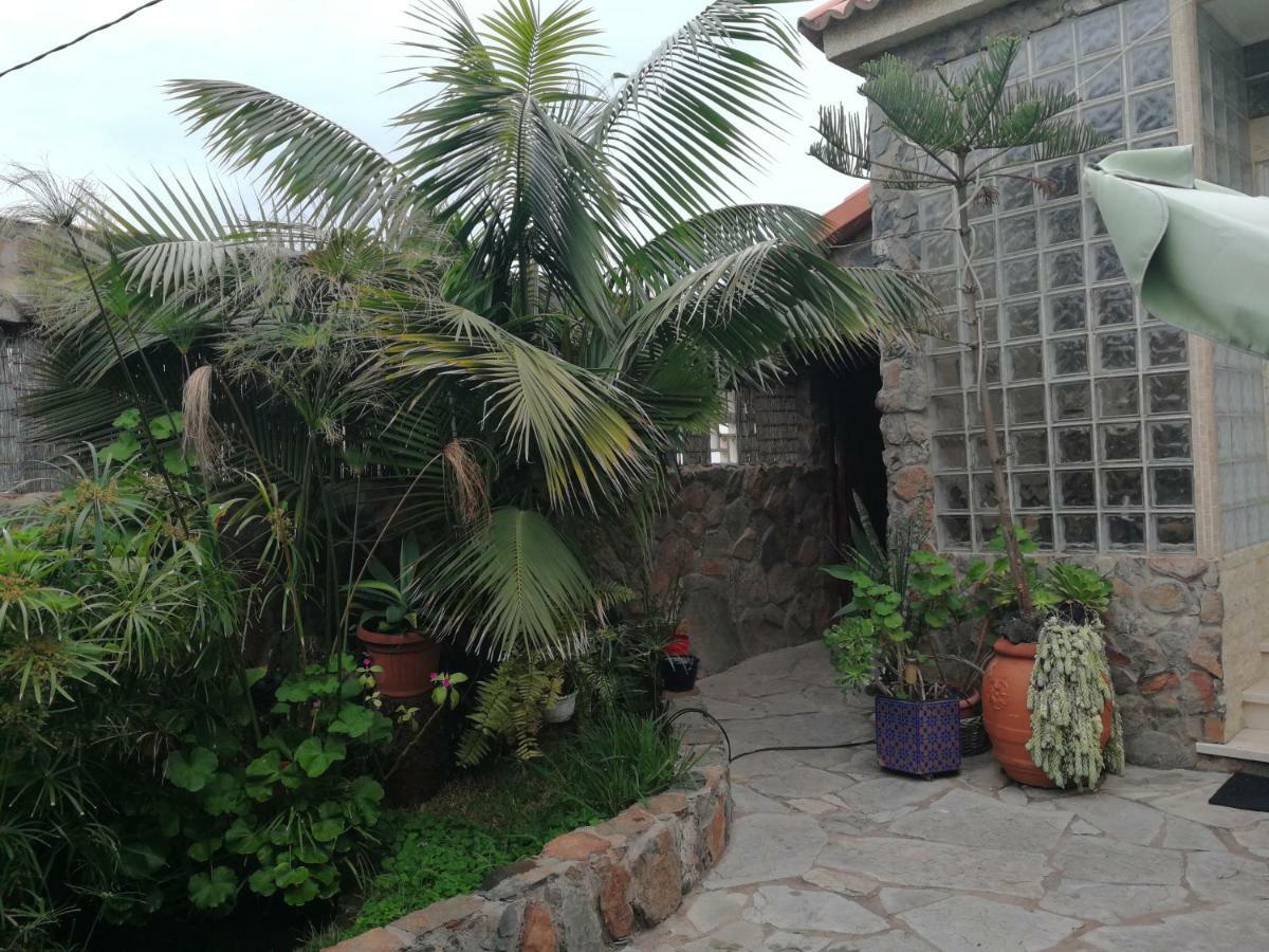 Апартаменты Casa El Drago-Tafira Baja Лас-Пальмас-де-Гран-Канария Экстерьер фото