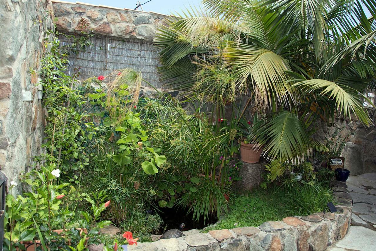 Апартаменты Casa El Drago-Tafira Baja Лас-Пальмас-де-Гран-Канария Экстерьер фото