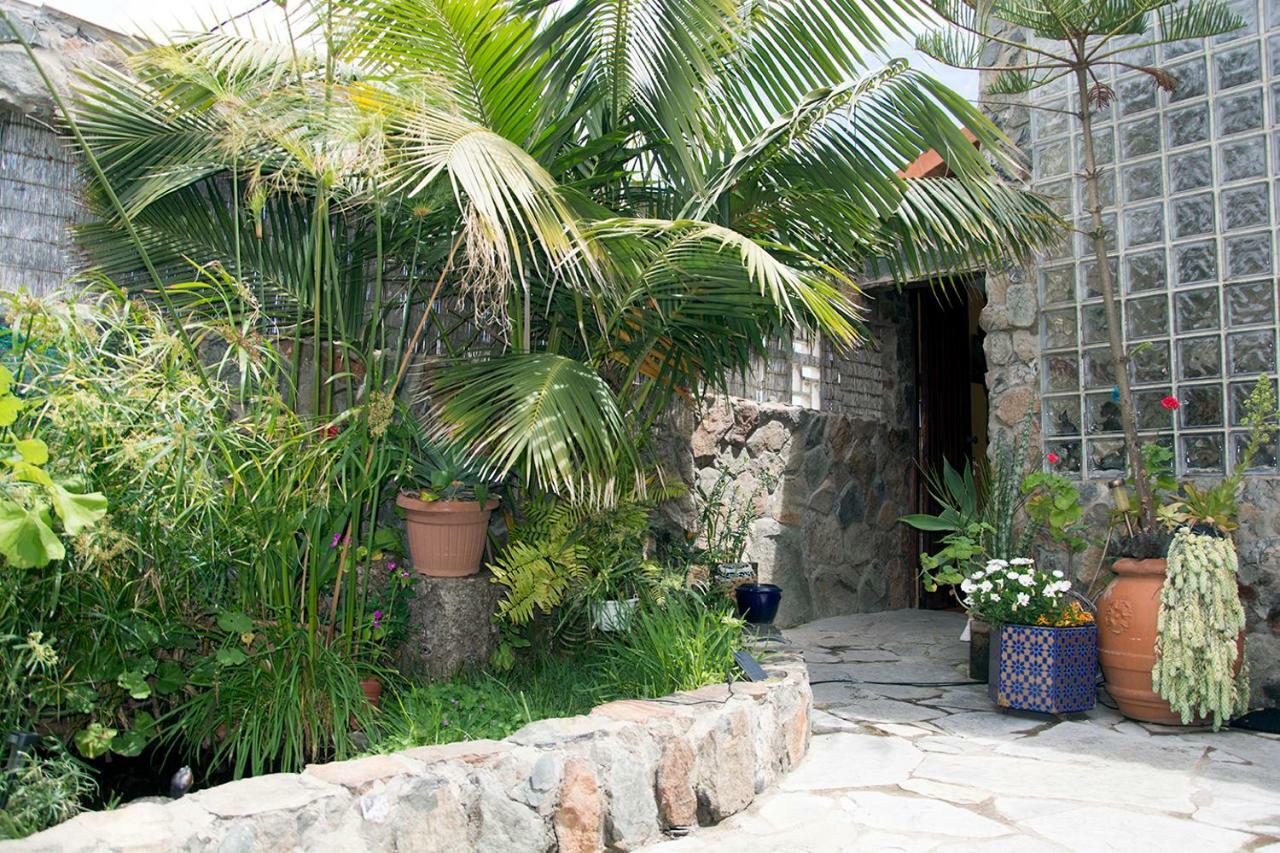 Апартаменты Casa El Drago-Tafira Baja Лас-Пальмас-де-Гран-Канария Экстерьер фото